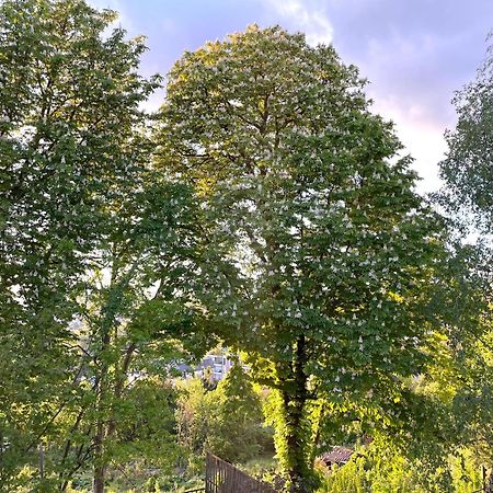 Sara Home Chennevières-sur-Marne Eksteriør bilde