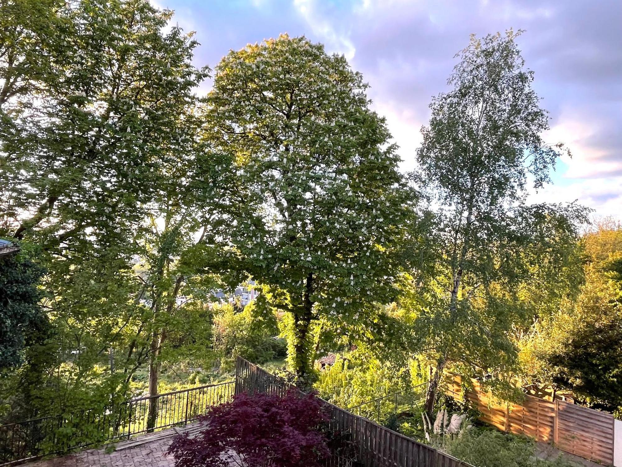 Sara Home Chennevières-sur-Marne Eksteriør bilde